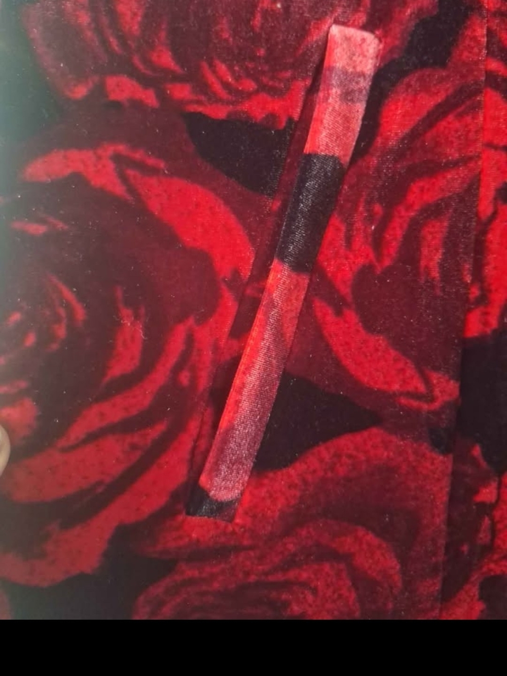 Betsey Johnson For Torrid Velvet Red Rose Coat, Very Rare, Size 3 (24/26-28W) - Picture 5 of 10